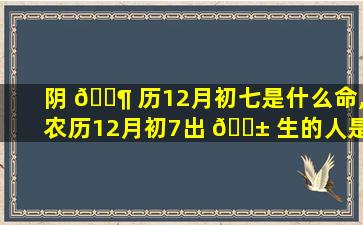 阴 🐶 历12月初七是什么命,农历12月初7出 🐱 生的人是什么命